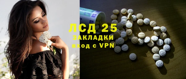 мяу мяу мука Бородино