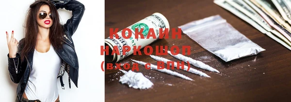 мяу мяу мука Бородино