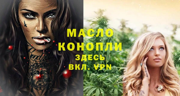 дживик Верхний Тагил