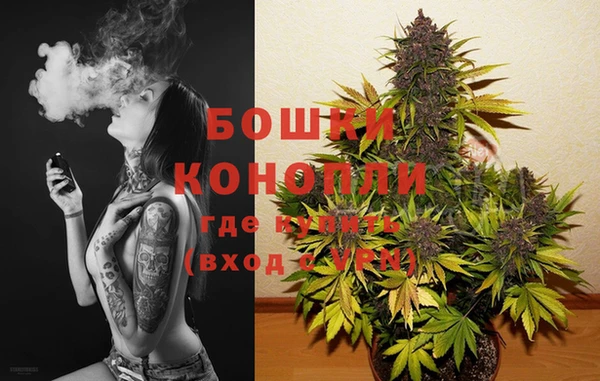 мяу мяу мука Бородино