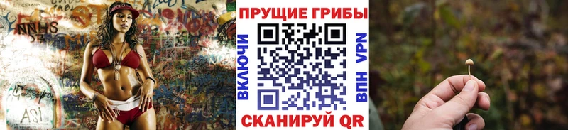 Псилоцибиновые грибы Psilocybine cubensis  Купить закладки  Приморско-Ахтарск 